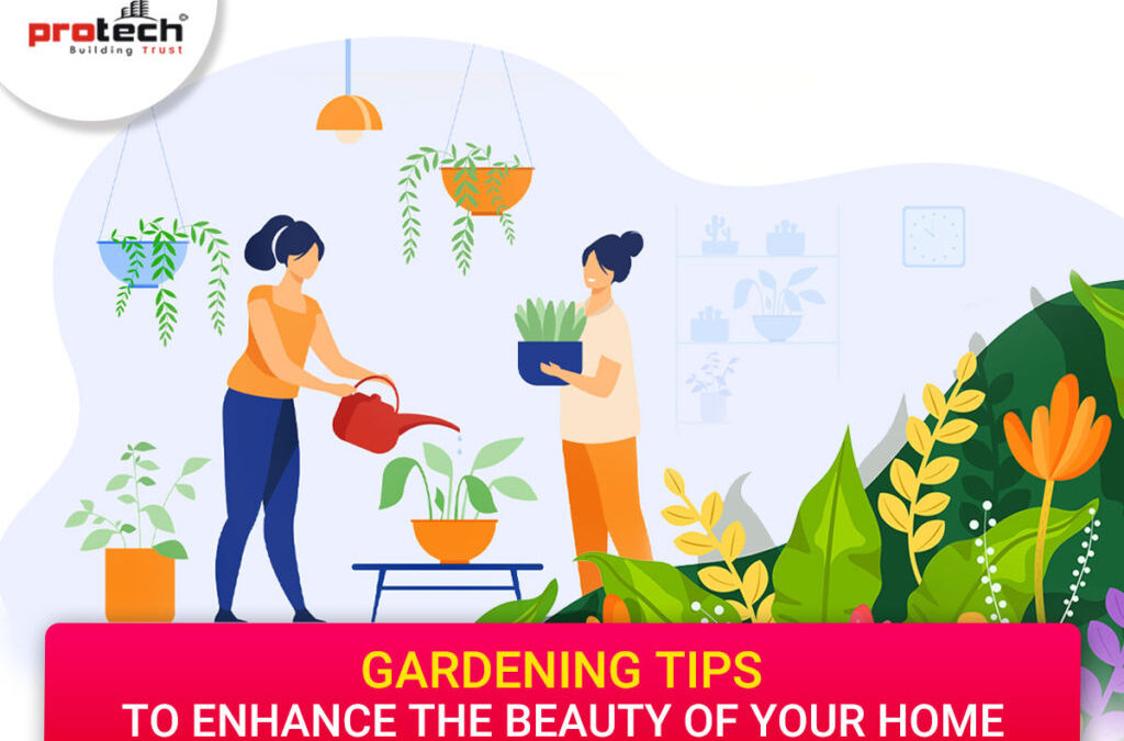 Gardening tips to enhance the beauty of your home