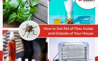 Natural Ways to Get Rid of Flies Inside and Outside of Your Home