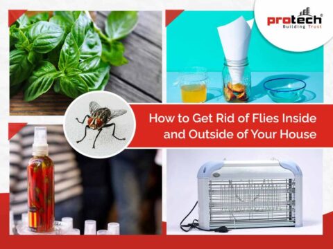 Natural Ways to Get Rid of Flies Inside and Outside of Your Home