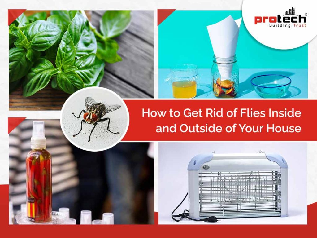How to Get Rid of Flies in The House