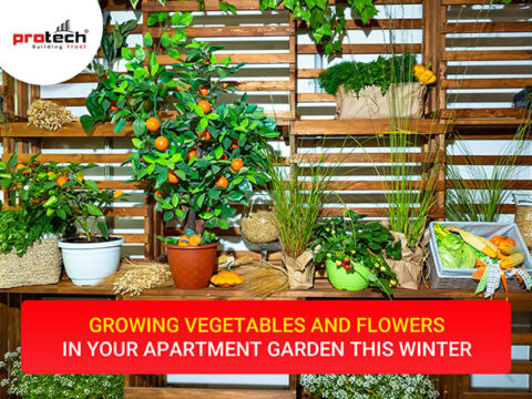 Growing vegetables and flowers in your apartment garden this winter