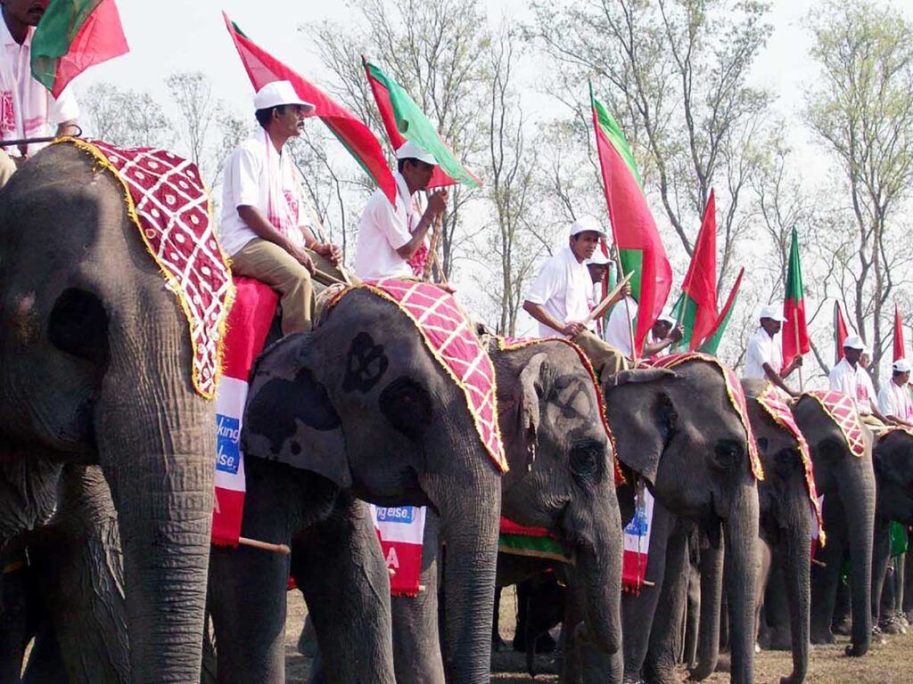 Kaziranga_Elephant_Festival