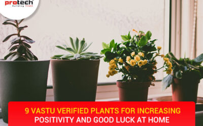 9 Vastu verified plants for increasing positivity and good luck at home