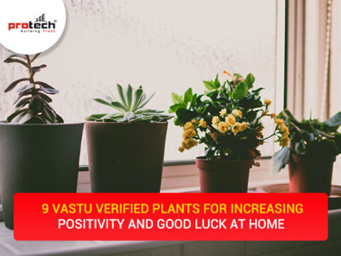 9 Vastu verified plants for increasing positivity and good luck at home