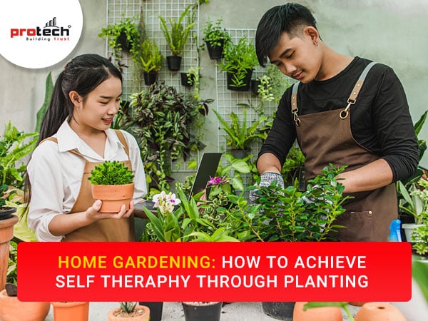 HOME GARDENING:  How to achieve self-therapy through planting.