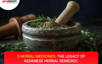 5 Herbal Medicines: The Legacy of Assamese Herbal Remedies