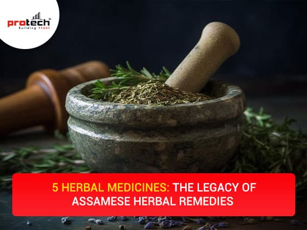 5 Herbal Medicines: The Legacy of Assamese Herbal Remedies