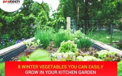 8 Winter Vegetables you can easily grow in your kitchen garden  