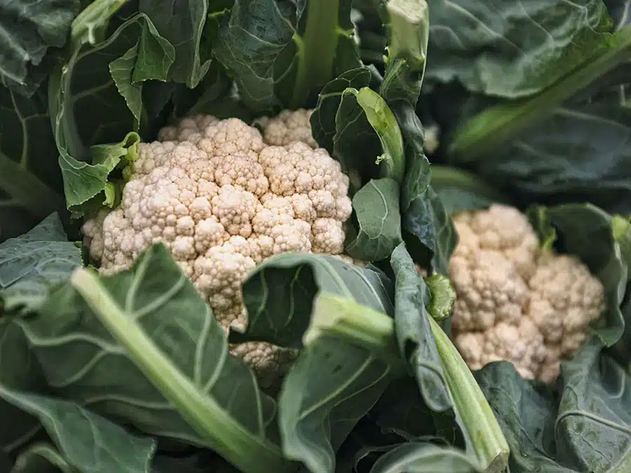 cauliflower