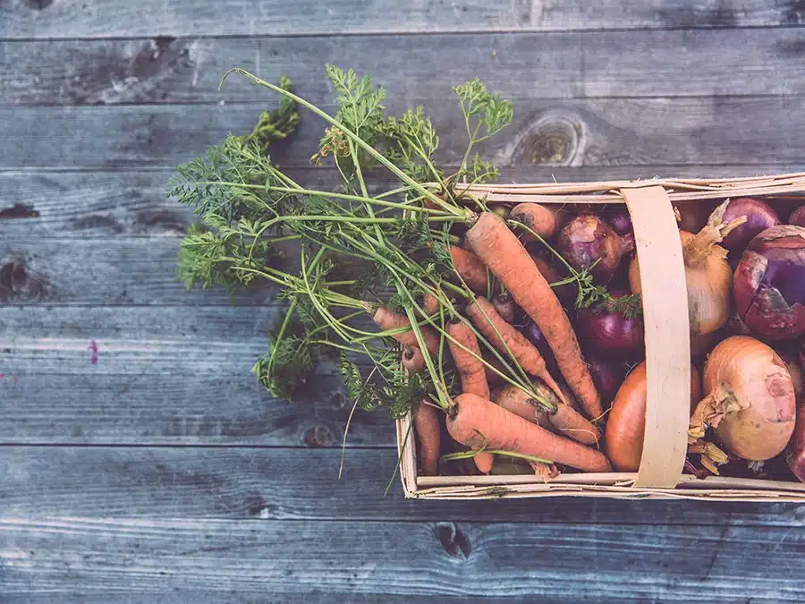 winter vegetables