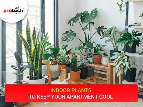 Indoor-plants-to-keep-your-apartment-cool.